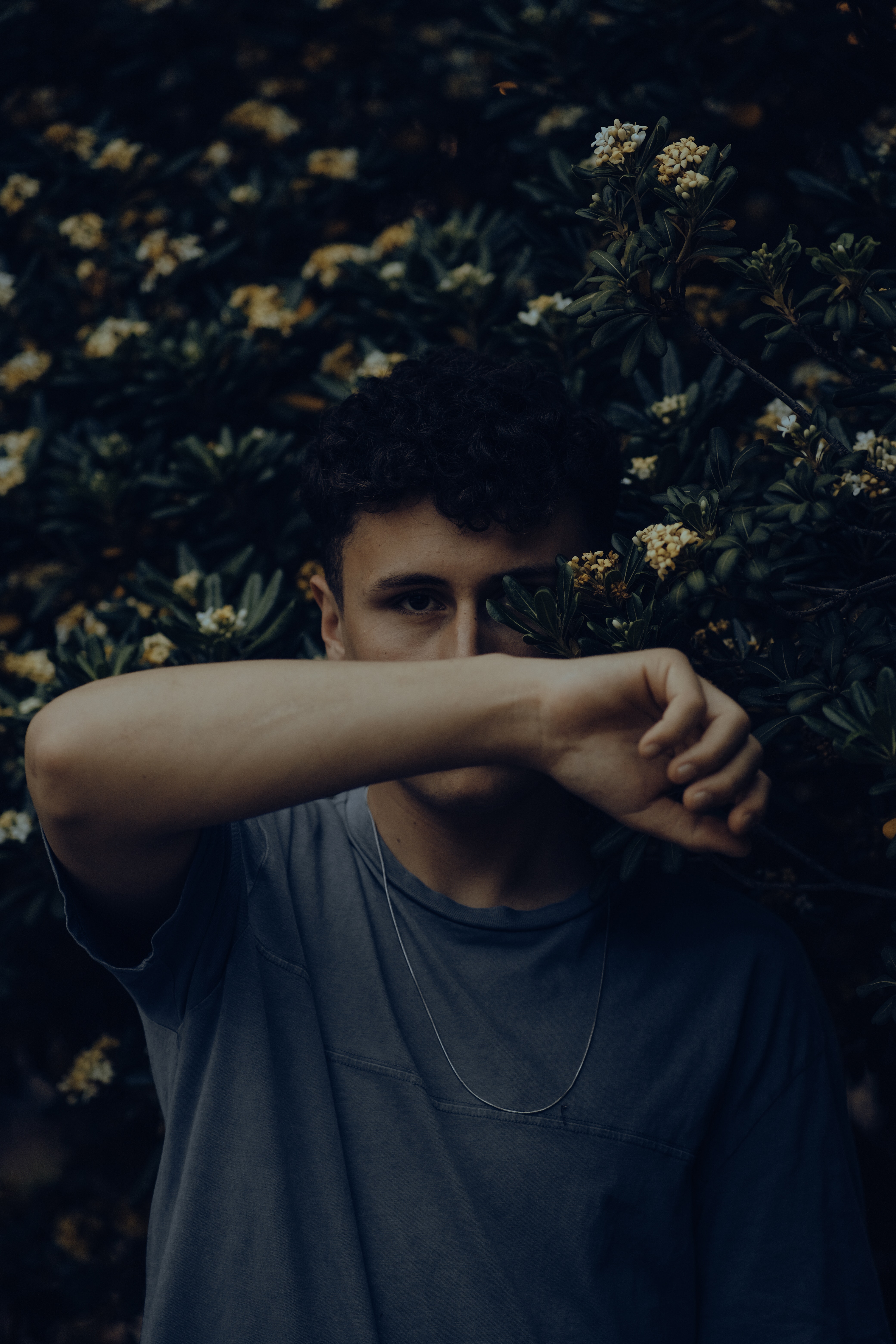 pexels-atahan-demir-16869801